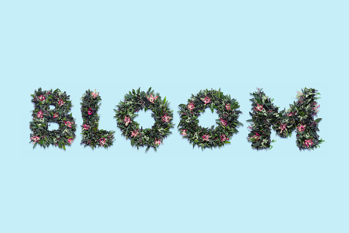 Bloom