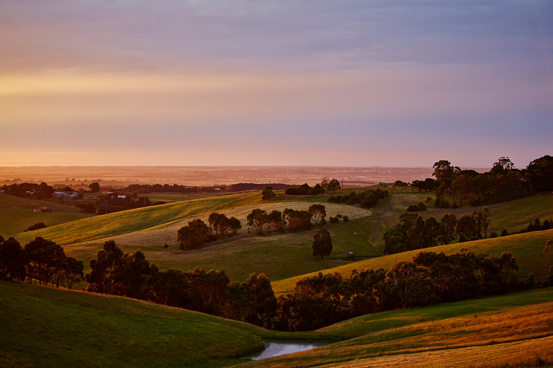 Premium Australia Foods