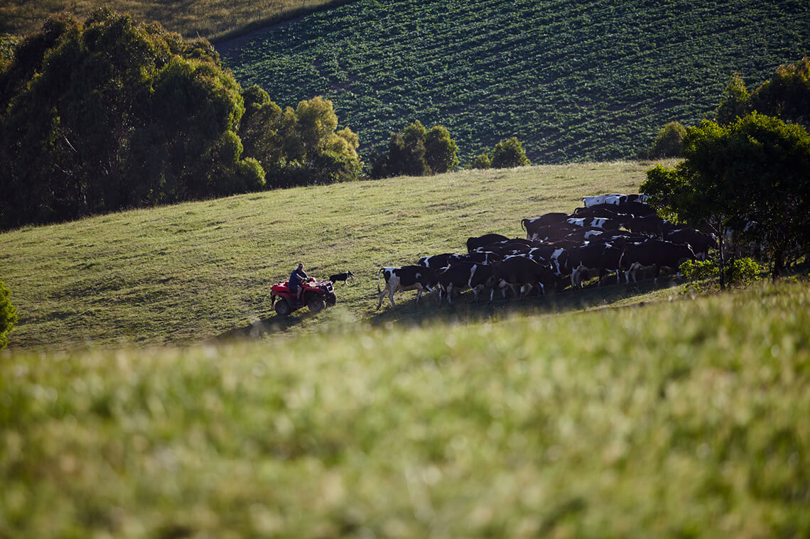 Premium Australia Foods